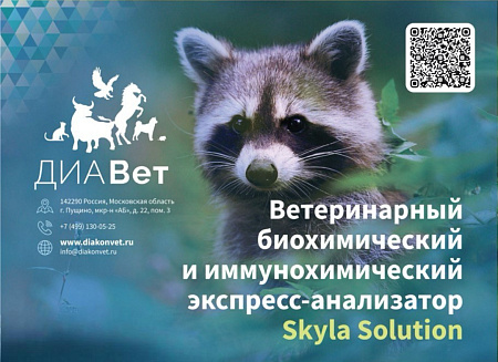 Skyla Solution всего за 450 000 рублей.Акция завершена!